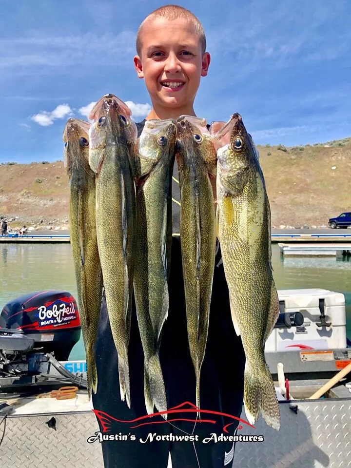 Walleye — Austin's Northwest Adventures